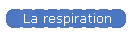 respiration