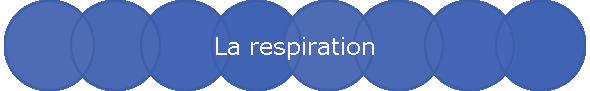 La respiration